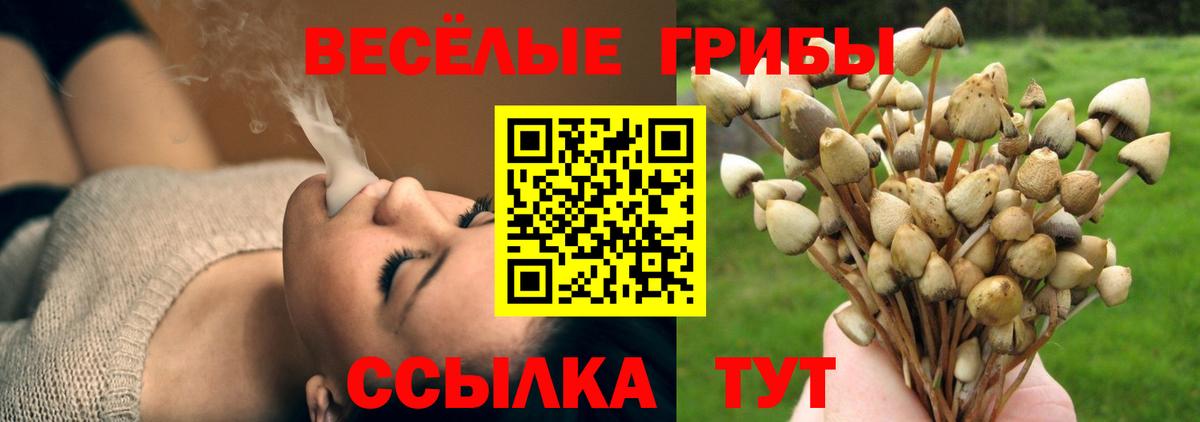 Псилоцибиновые грибы Cubensis  Галлюциногенные грибы MAGIC MUSHROOMS  Лениногорск  Вход с VPN 